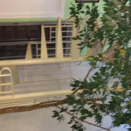 Alan Robert's Канны